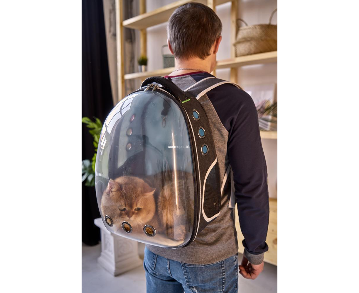 Купить рюкзак переноску для кошек. Рюкзак-переноска для кошек Xiaomi PETKIT Fresh Wind Cat Backpack. Прозрачный рюкзак для кота. Прозрачная переноска для кошек. Прозрачные переноски для котов.